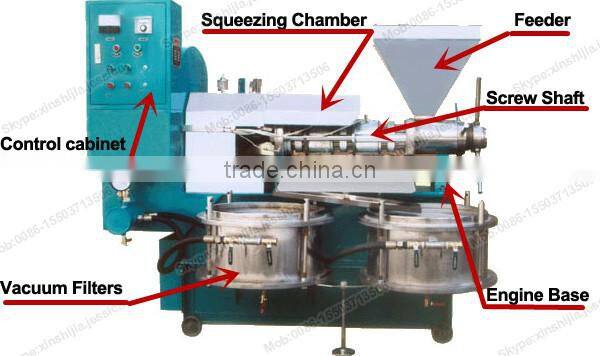 Professional automatic pumpkin seed oil press machine(mob:0086-15503713506)