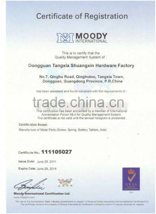 Extension spring with hook