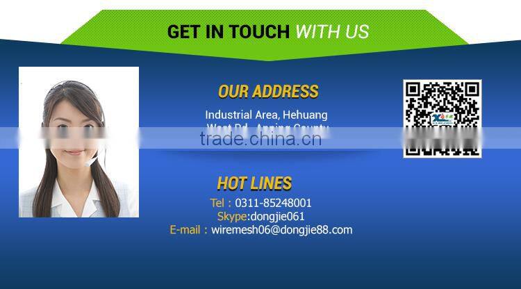 hebei metal decorative wire mesh