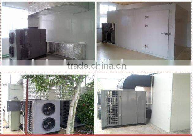 Rhizoma gastrodiae heat pump dehydrator