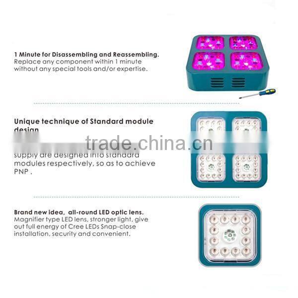 plant tissue culture led grow light kits 240w
