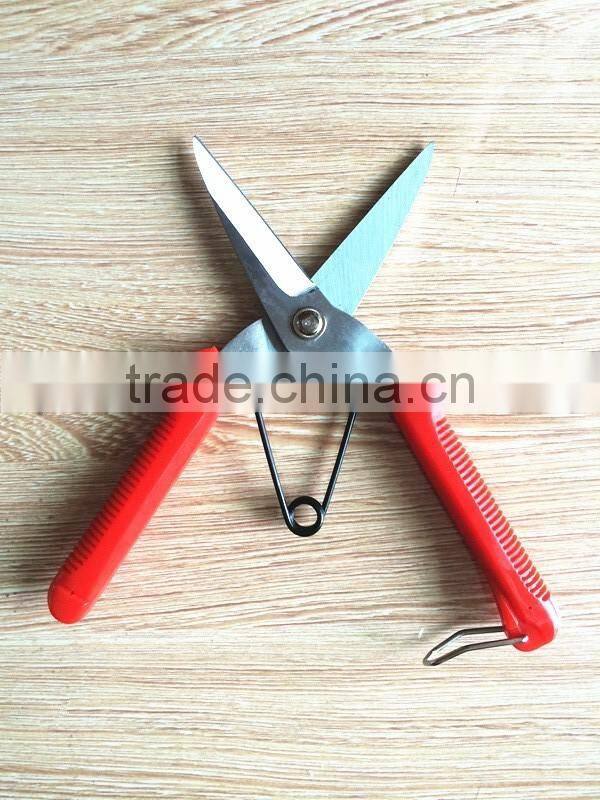 hand tool/pruner scissors/pruning shears trees/chromed fruit scissors