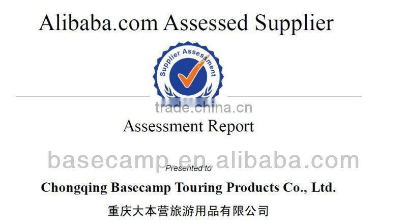 Arctic Duckdown Mummy Sleeping Bag