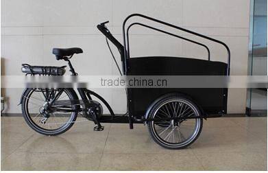 Electric tricycle bikes