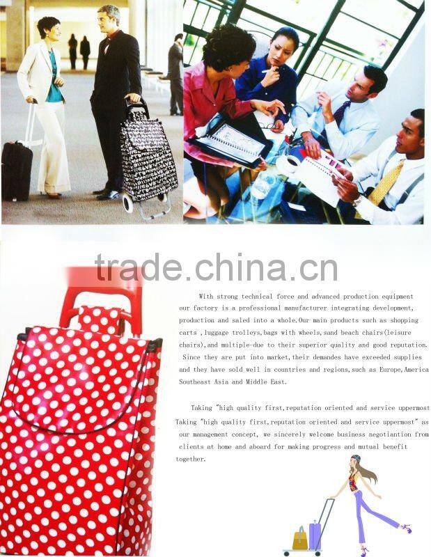 cool shopping trolley car with bag