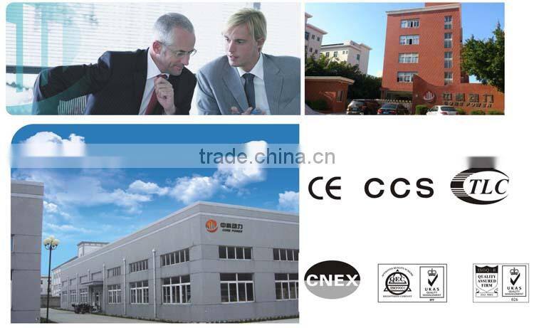 300kva UK Motor Generator Set With brand engine China made