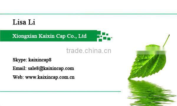 new design cheap sports custom 3d embroidery baseball caps bulk