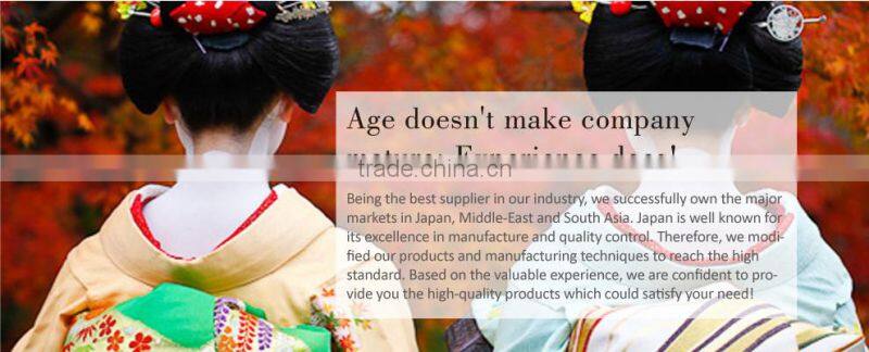 Expert Disposable Dental Flosser toothpicks