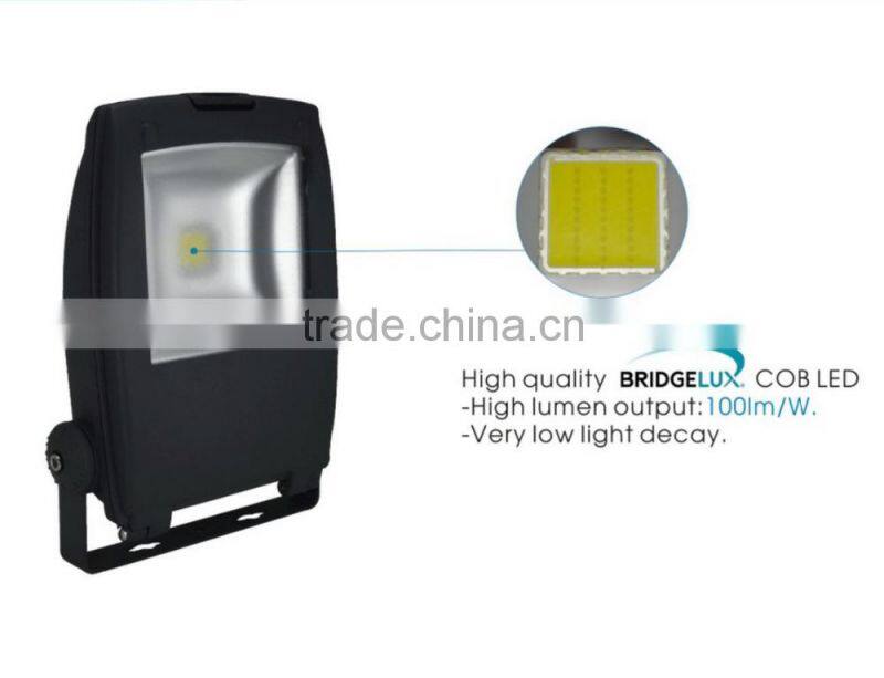 New Design IP65 Meanwell Driver LED Flood Light with bridgelux chip