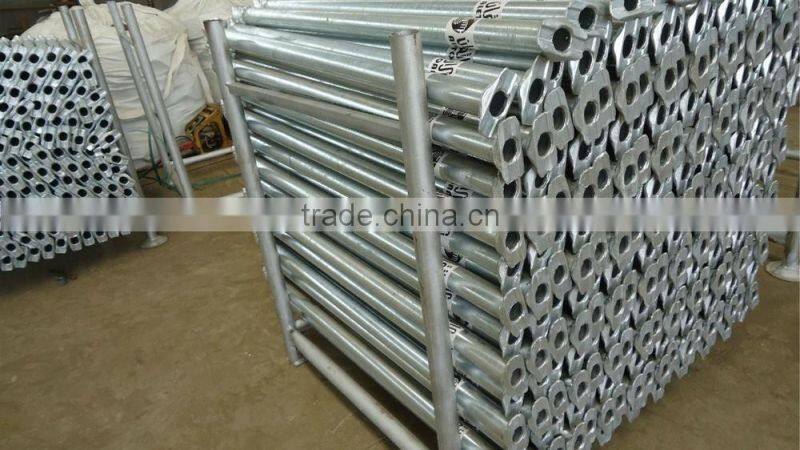 Q235 european cuplock scffolding system