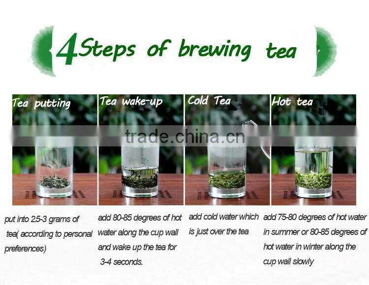 Quality guaranteed fresh Green Tea leaves organic/green tea bags bulk