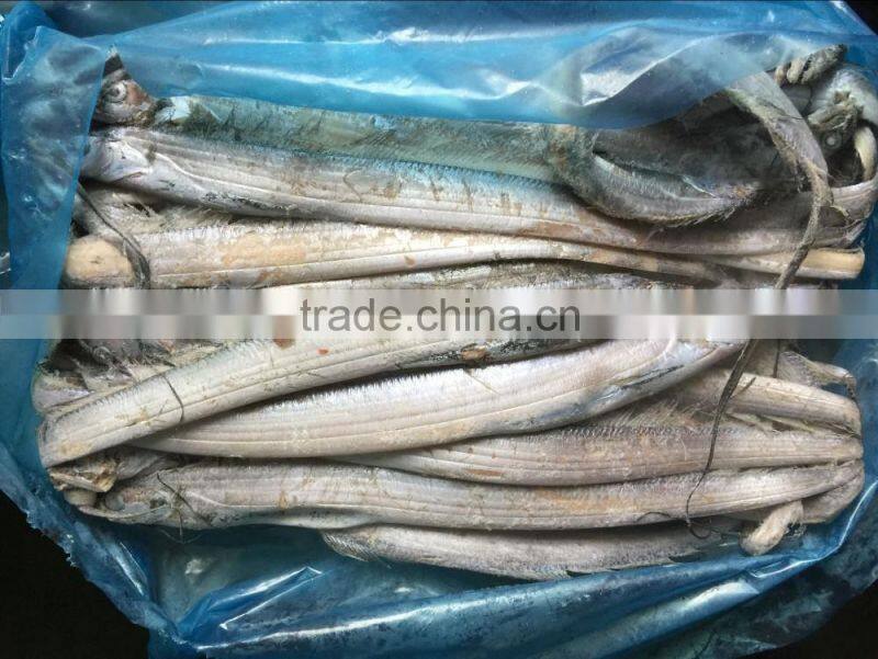 Good quality of Frozen Ribbon Fish 120-300g