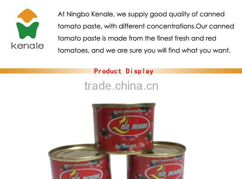OEM delicious 28-30 70g Xinjiang tomato paste 70gX50tins