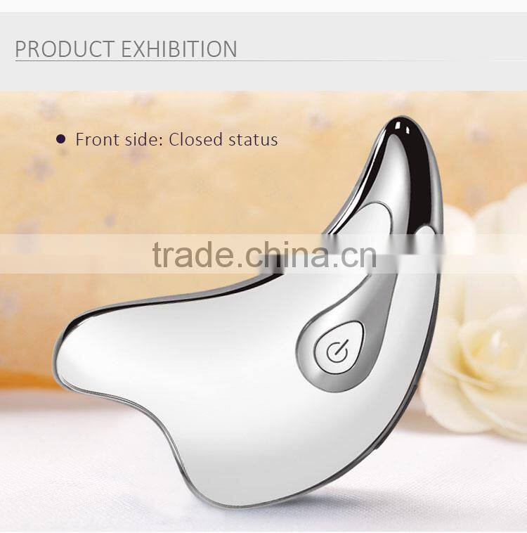 Multifunction Beauty Care Face Massage Facial Massage Device Ionic Electric Face Massager
