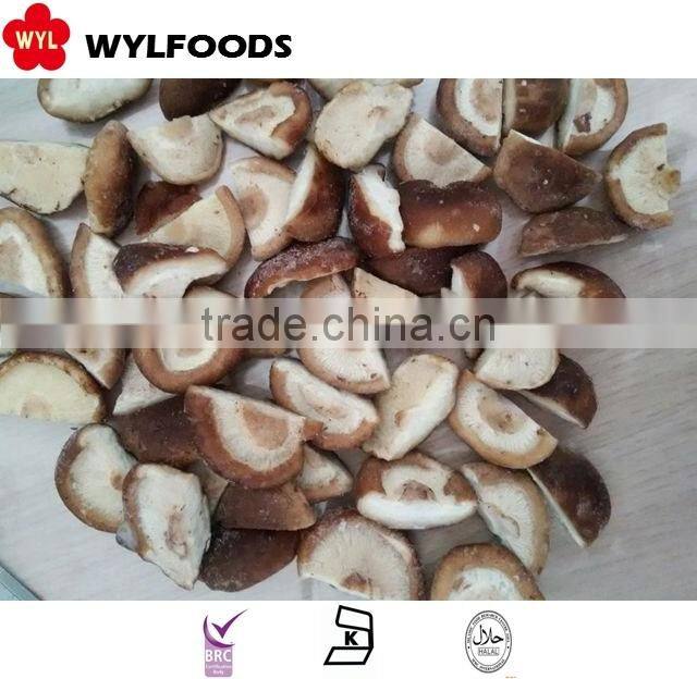 iqf price for frozen shiitake quarter 2015 crop