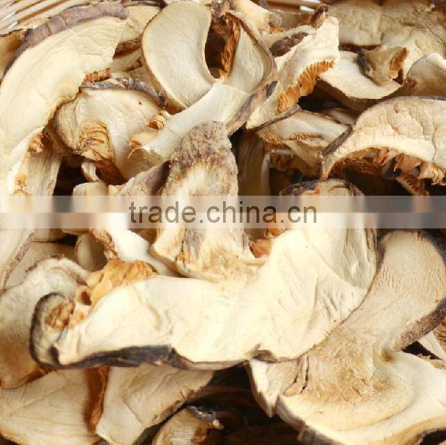 Hot new products for 2015 Mushroom made in china alibaba
