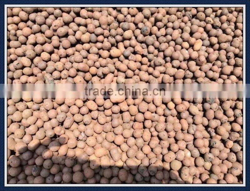 Seed starting Rockwool Cubes