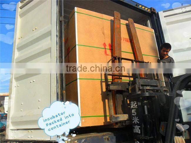 Automatic Large Chicken Incubator WQ-16896