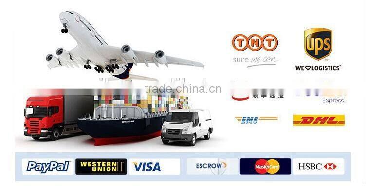 iLOT Portable Power Sprayer for Agricultural Irrigation/Watering- Without Tank