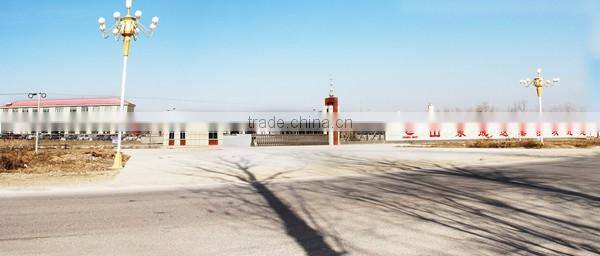 CHINA SINOTRUK HOWO 6X4 cheap 10 wheeler refrigerator chill reefer truck