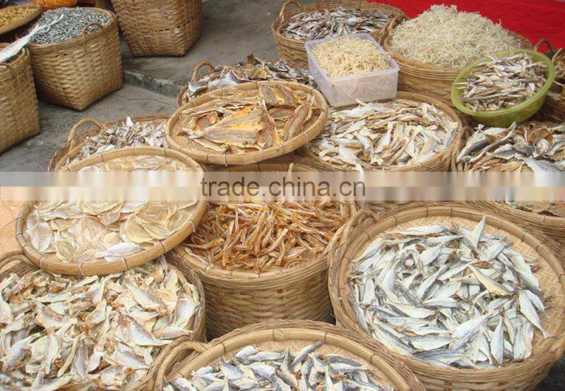 Tunnel Conveyor Belt sterilizer seaweed dryer