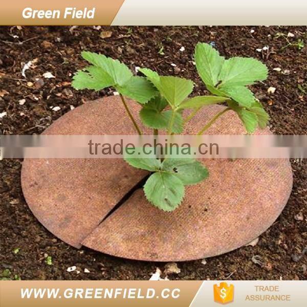 Green Field biodegradable tree ring disc