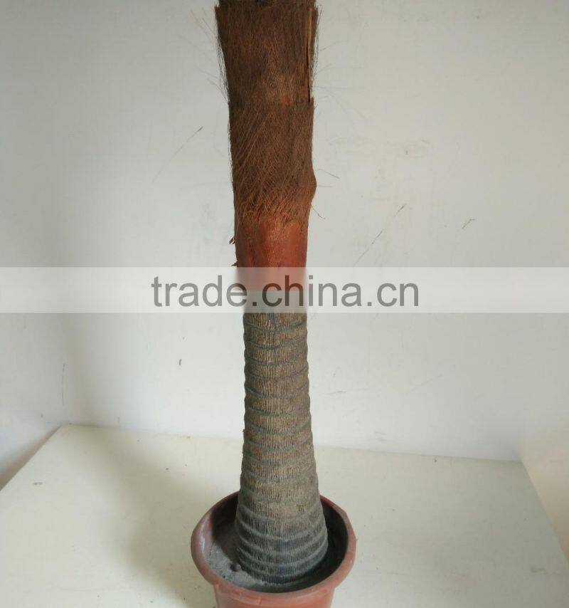 big fan kwai artificial palm tree