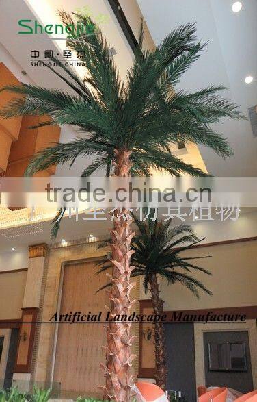 factory direct high quality Palm tree with cheap price palm tree for shopping mall decoration