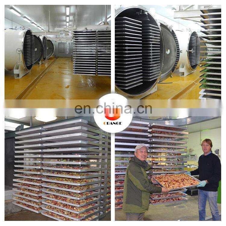 OrangeMech commercial vacuum fruit/strawberry/mango freeze dryer lyophilization machine/freeze drying equipment