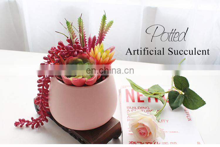 Best Selling Succulent Plants Faux Plastic FakeFlowers Mini Artificial Succulents In Pots