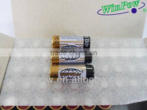 Winpow 12v battery A23