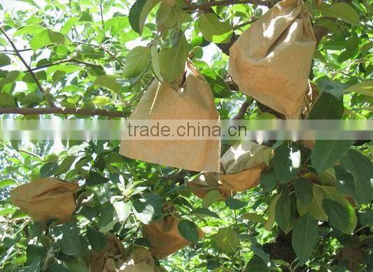 Hot selling apple growing paper bag