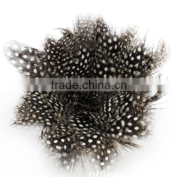 cock feather decoration