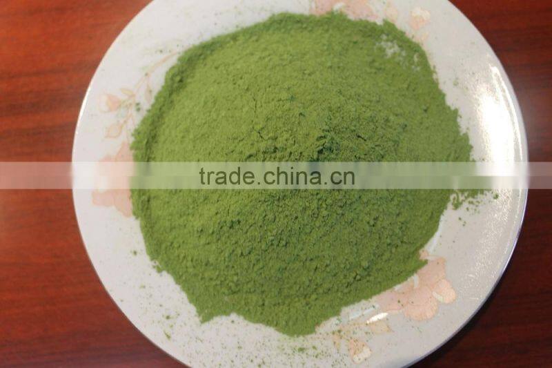 Green tea Matcha Style Lucky Bird tea new BIO Japan