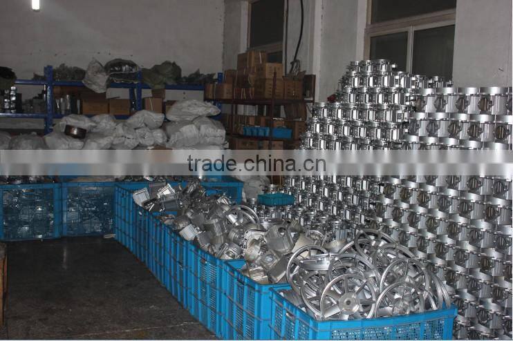 300L portable Italy type air compressor two head two motors