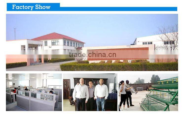 laying chicken cages farming equipment