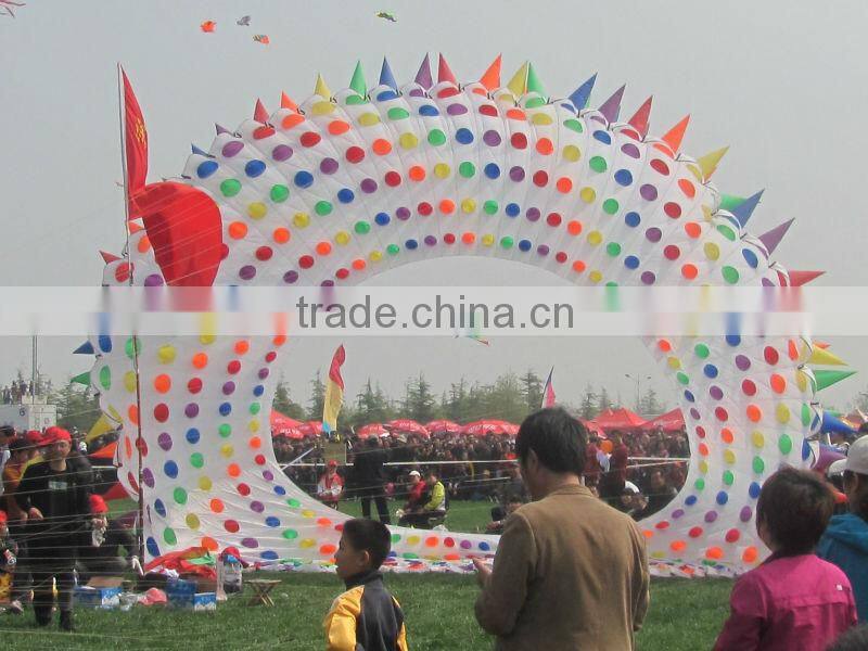 10m ring kite