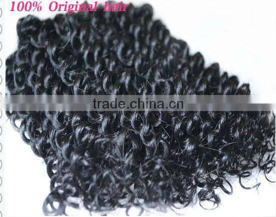 Brazilian Virgin Kinky Curly Hair Extention