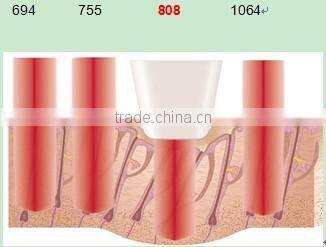 New Version Beijing OEM/ODM beauty parlor diode laser home use