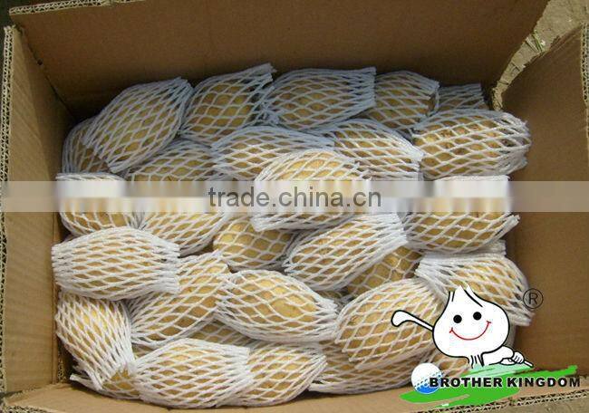 China fresh potato with best price