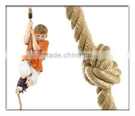 Knotted Climbing Rope Swing