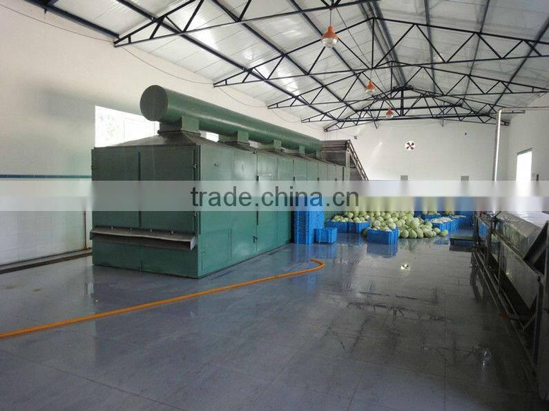 Cabbage Drying System