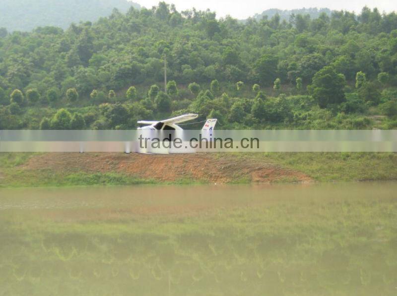 2.4G 4CH Electronic Brushless TL2000 STING RC FPV Aircraft Model