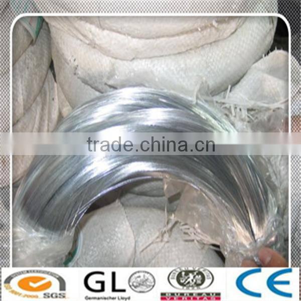 Electro Galvanized Iron Wire/Galvanized Iron Wire for Binding Use