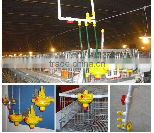 Hot selling in South africa A type layer cage for sale
