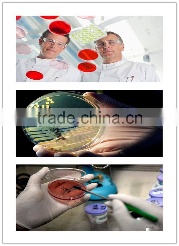 90*15mm plastic petri dish two-compact