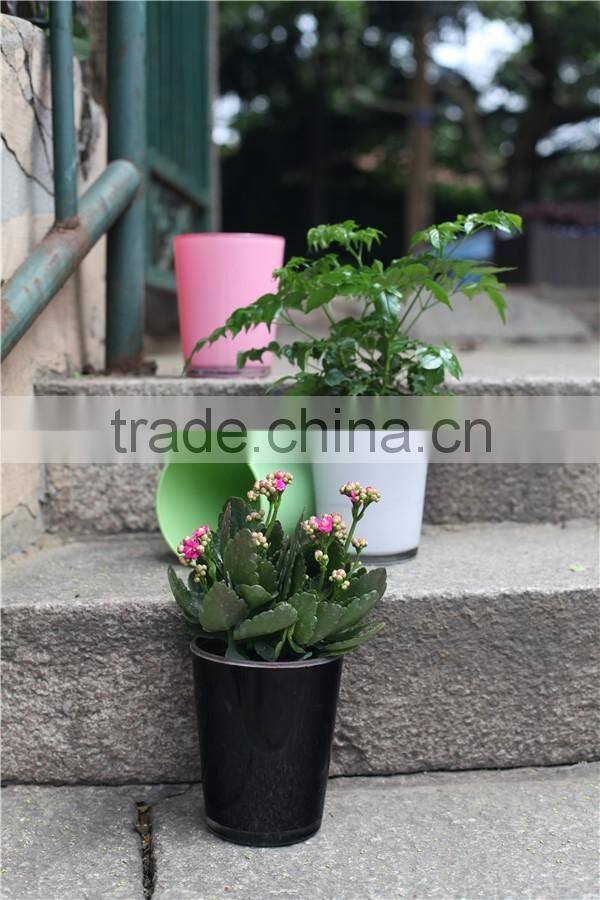 natural transparent decorative indoor flower pots with tray