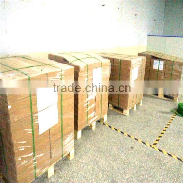 Gym Rubber Crumbs Flooring Mat