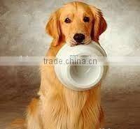 Pea Protein Food/Petfood/Feed Grade