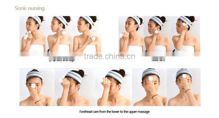 Facial Ice Steamer Face Steam Spa Beauty Salon Equipment